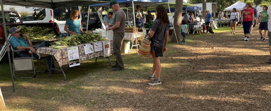 Customers at the Livingston Farmers Market